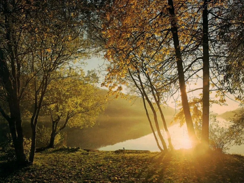 Hay que ver el bosque y no solo el árbol” « yoendesarrollo.