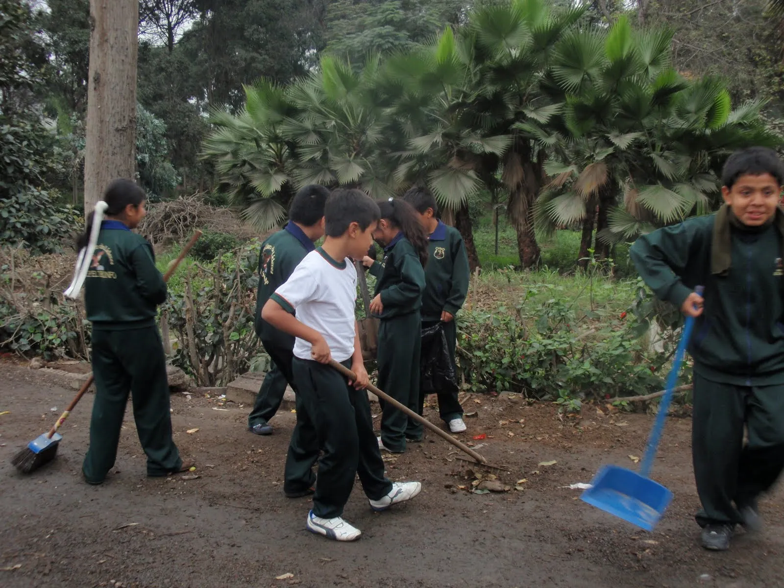 EL BOSQUE DE CAJA DE AGUA