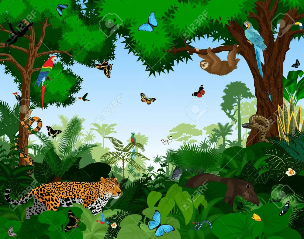 Bosque Lluvioso Con Animales Ilustración Vectorial. Vector Selva Tropical  Verde Del Bosque Con Los Loros, El Jag… | Bosque lluvioso, Illustration, Selvas  tropicales