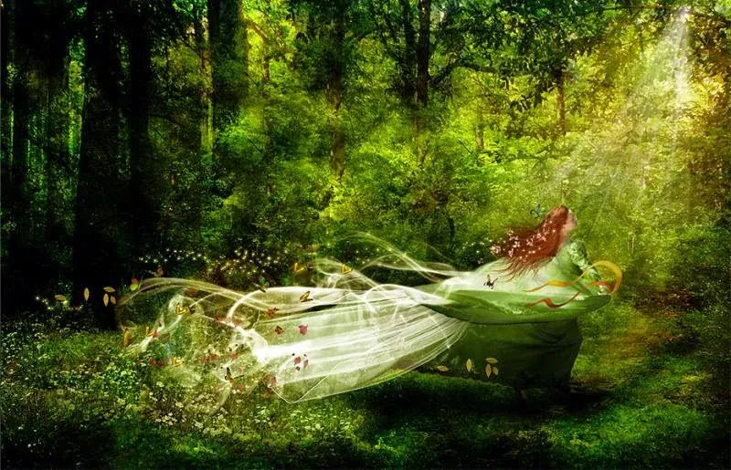 En Mi Bosque Mágico: ¿Existe el Pais de las Hadas