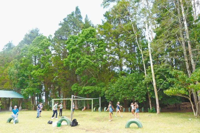 Bosque por los niños del mundo | Grecia en Alajuela, encierra joya ...