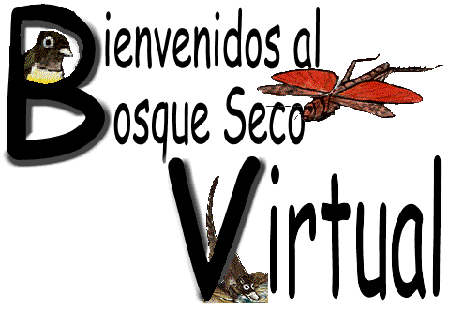 Bosque Seco Virtual del ACG