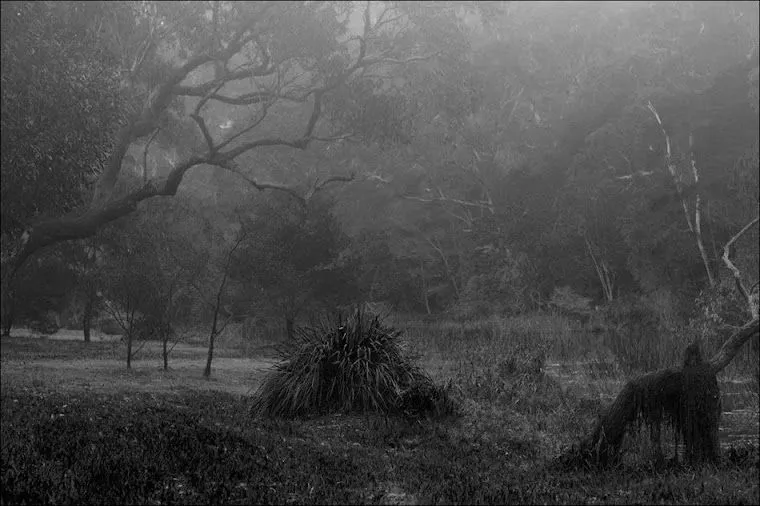 El Bosque es un lugar tranquilo: Un pequeño pensamiento - Taringa!