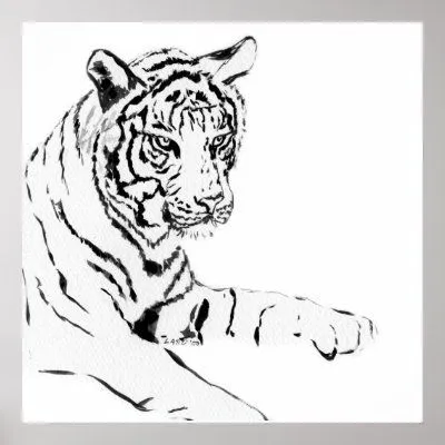 Bosquejo negro y blanco del tigre impresiones de Zazzle.