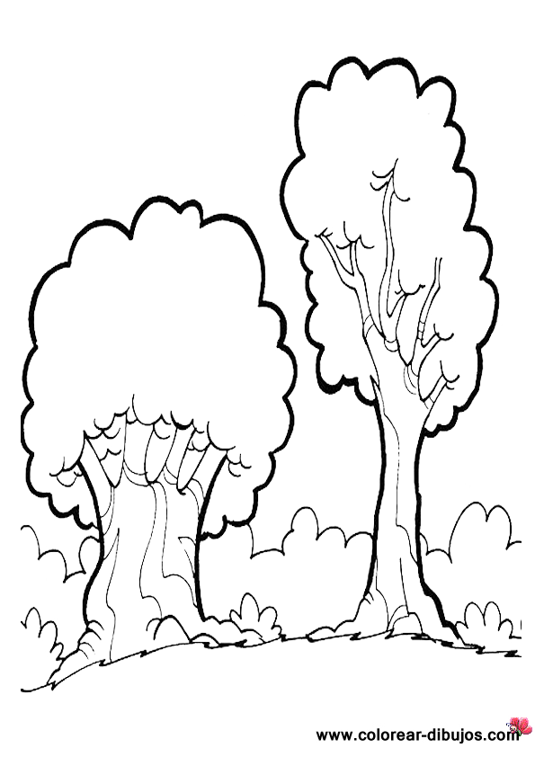 Bosques Para Colorear Para Niños