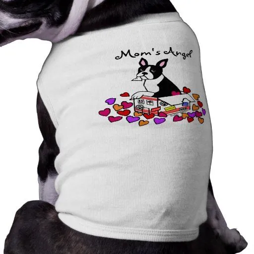 Boston Terrier en el dibujo animado de la caja Ropa De Perro | Zazzle