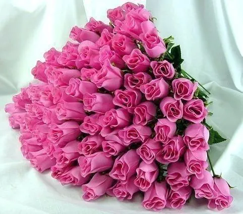 Bouquet de 60 Rosas Rosas #1 | Floreria en Tijuana, Envia Flores ...