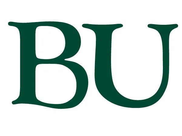 Branding Information: Belhaven University News and Information