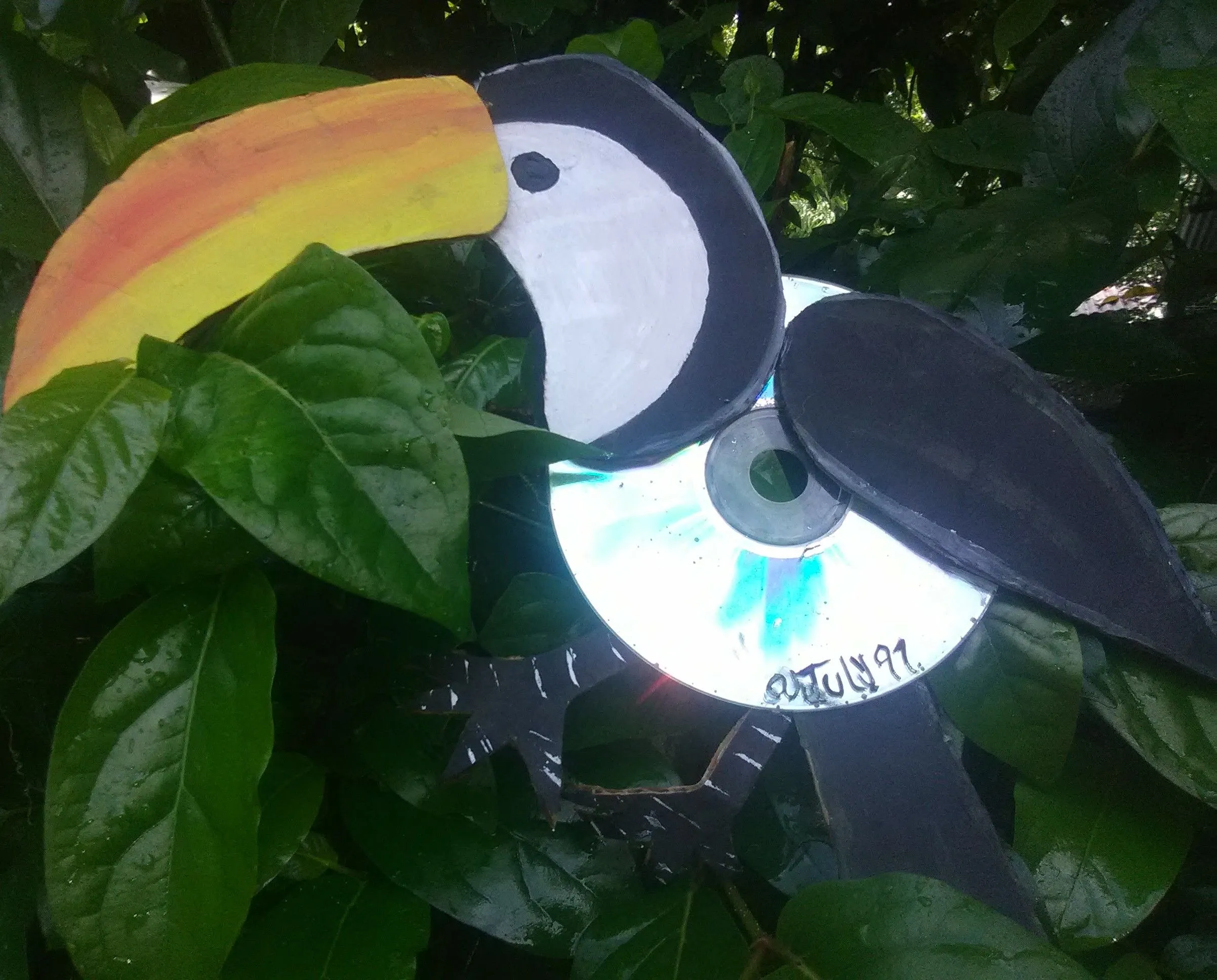 Bricolaje/ Paso a paso de como realizar un lindo Tucán con material de  provecho. (Cd y Carton)♻️DIY / Step by step of how to make a cute Toucan  with useful material. (Cd