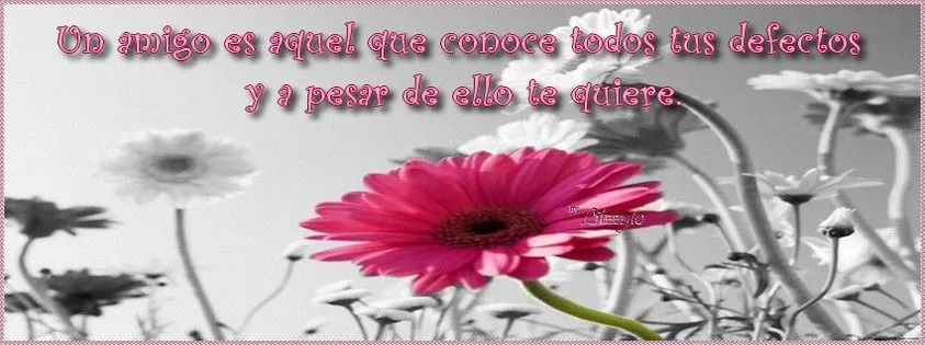 Brillos de Fantasia: FRASES Y MENSAJES PARA TU MURO EN FACEBOOK