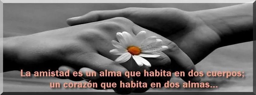 Brillos de Fantasia: FRASES Y MENSAJES PARA TU MURO EN FACEBOOK