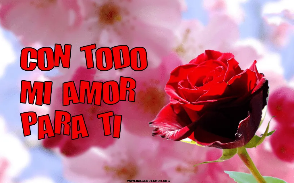 Brotes de Amor: Con todo mi amor