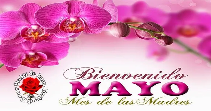 Brotes de Amor: Bienvenido Mayo Mes de las Madres