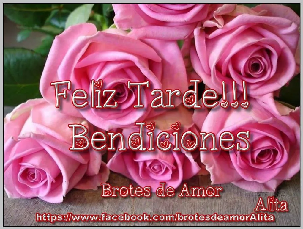 Brotes de Amor: Feliz Tarde!!!