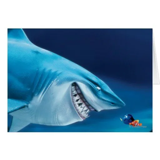 Bruce, Nemo y Dory 1 Tarjeta De Felicitación | Zazzle