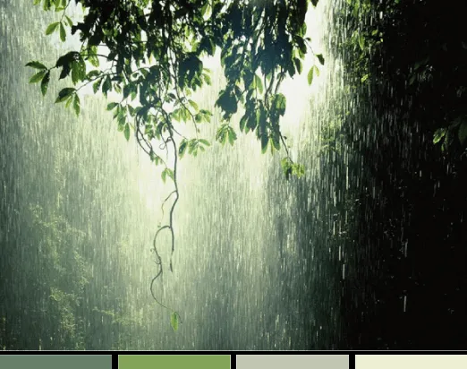 Brugnoni y Prado: Inspiración: Días de Lluvia