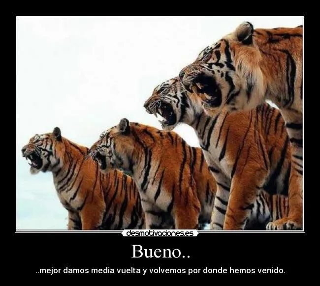 Bueno.. | Desmotivaciones