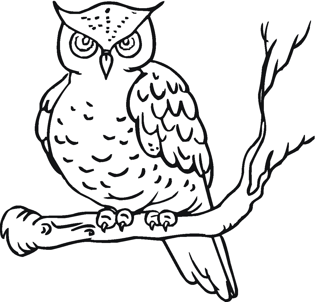 búho de dibujo Colouring Pages