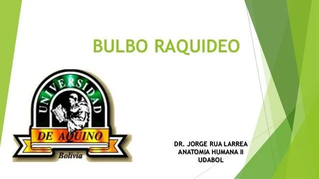 Bulbo dr jorge rua udabol