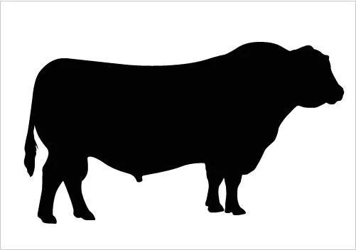 Bull Silhouette - Cliparts.co