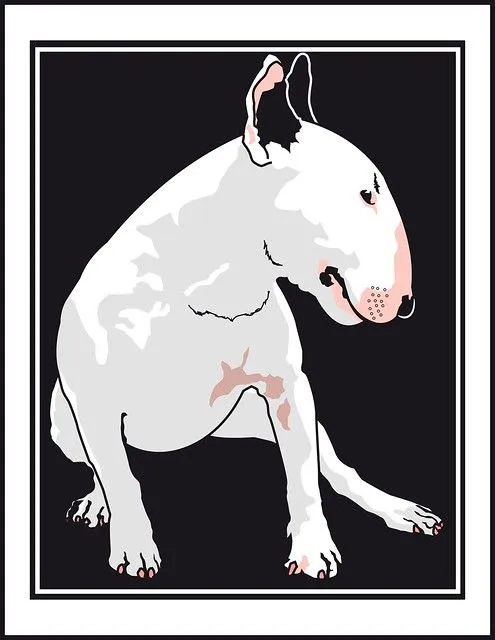 Caricaturas de bull terrier - Imagui