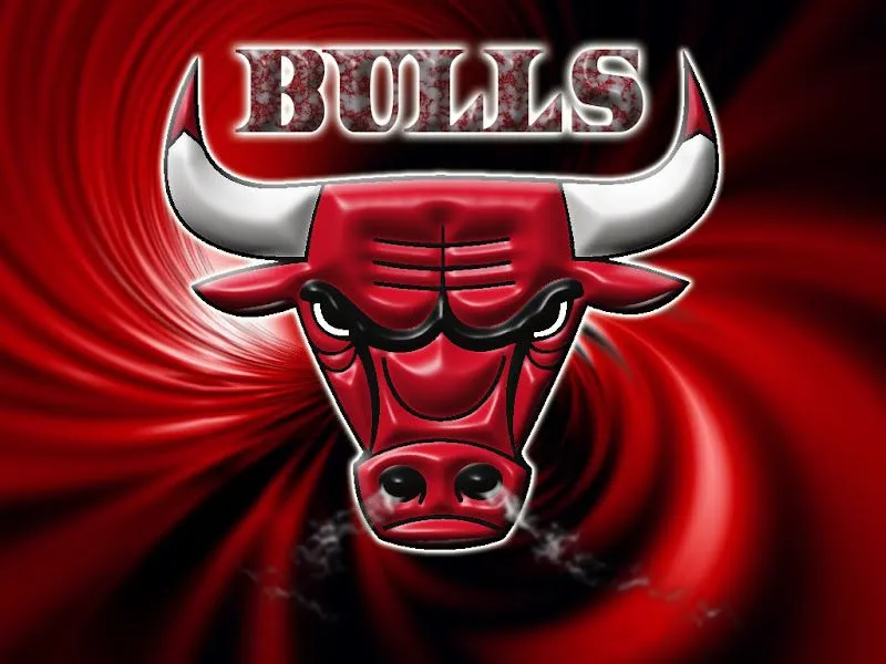 bulls-2a.jpg