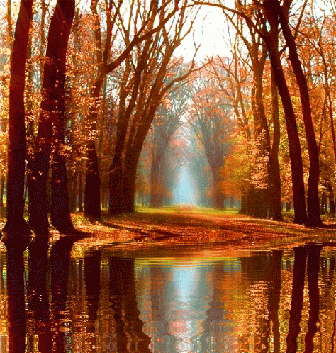 Burbujolandia: mayo 2014