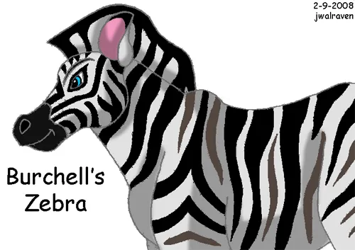 Burchell's Zebra « jwalraven's Album — Fan Art Albums of My Lion King