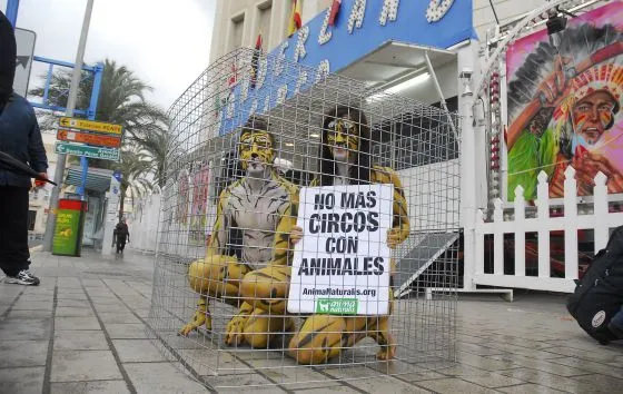 Burjassot veta el circo con animales | Comunidad Valenciana | EL PAÍS
