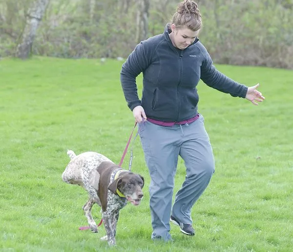 Burlington vet clinic nurses Oso dogs back to health | All Access ...