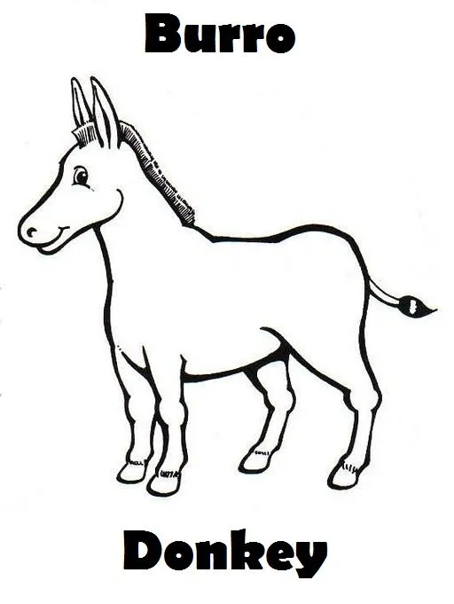 Burros para dibujar - Imagui