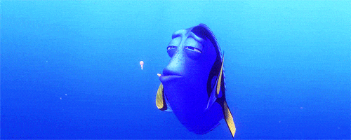 Buscando A Nemo GIFs on Giphy