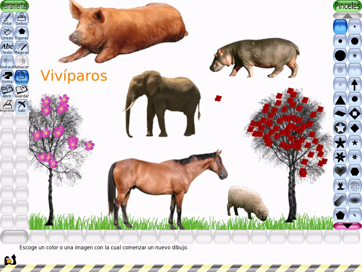 Buscar 20 animales oviparos - Imagui