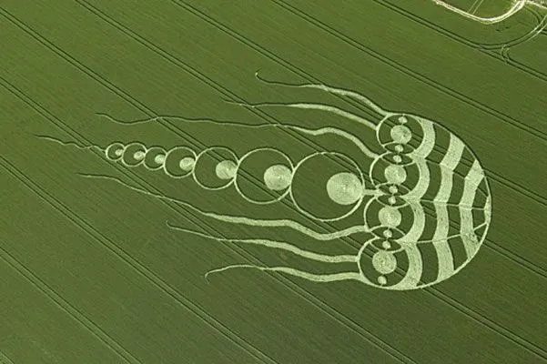 Como se creean las señales en los campos de trigo OVNIS - Taringa!