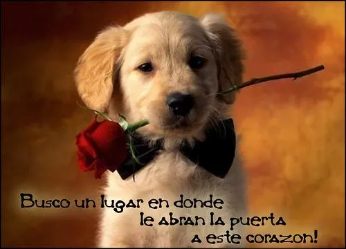 Fotos de amor - Ninio Romantico - fotos de amor, fotos tiernas de amor ...