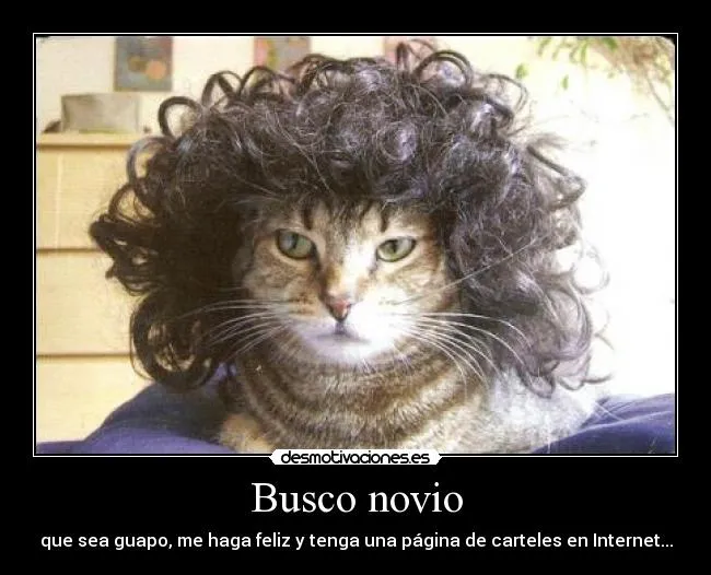 Busco novio | Desmotivaciones