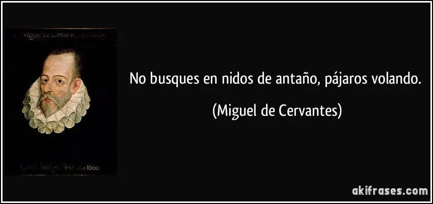 No busques en nidos de antaño, pájaros volando.