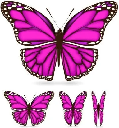Butterfly wings vector Free vector for free download (about 32 files).