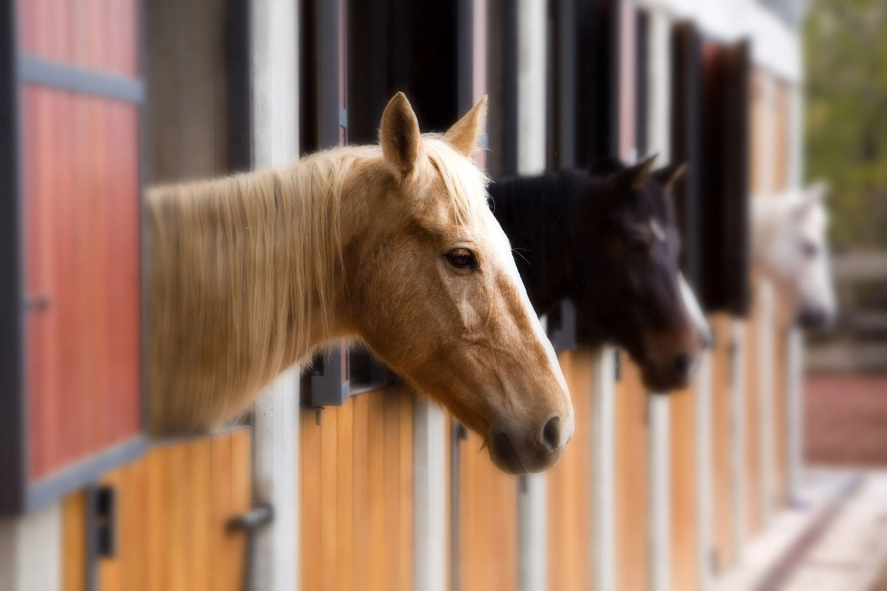 Caballerizas | Señorío del Valle – Hotel Rural & Centro de Visitantes