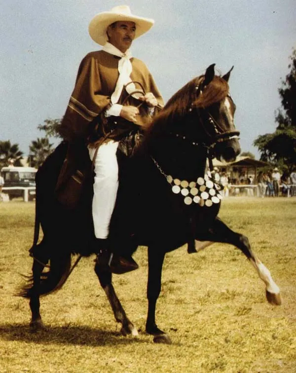 Caballero de fina estampa: SOBRE EL ARTE DE MONTAR EL CABALLO DE ...