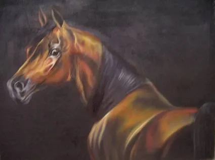 Caballo Arabe 5 Verónica Ferrufino Kozlova - Artelista.com