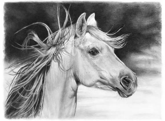 caballo a lapiz by lizz13 on DeviantArt