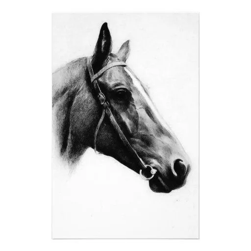 Caballo negro y blanco papeleria de diseño de Zazzle.