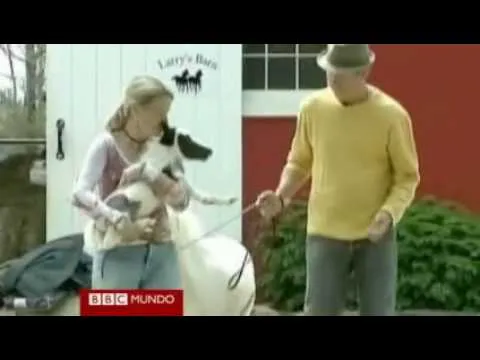 El caballo más pequeño del mundo (The world's smallest horse ...