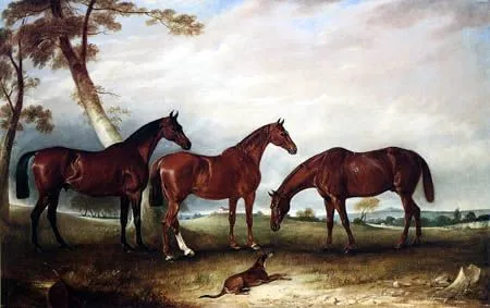 Tres caballos de carreras - John Ferneley, Snr. - como impresión ...