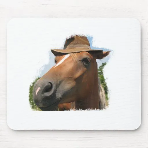 Caballos chistosos demasiado frescos alfombrillas de raton de Zazzle.