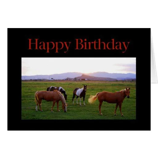 Caballos en el feliz cumpleaños de la puesta del s felicitacion ...