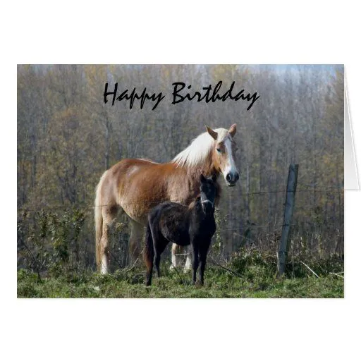 Caballos del feliz cumpleaños tarjeton | Zazzle