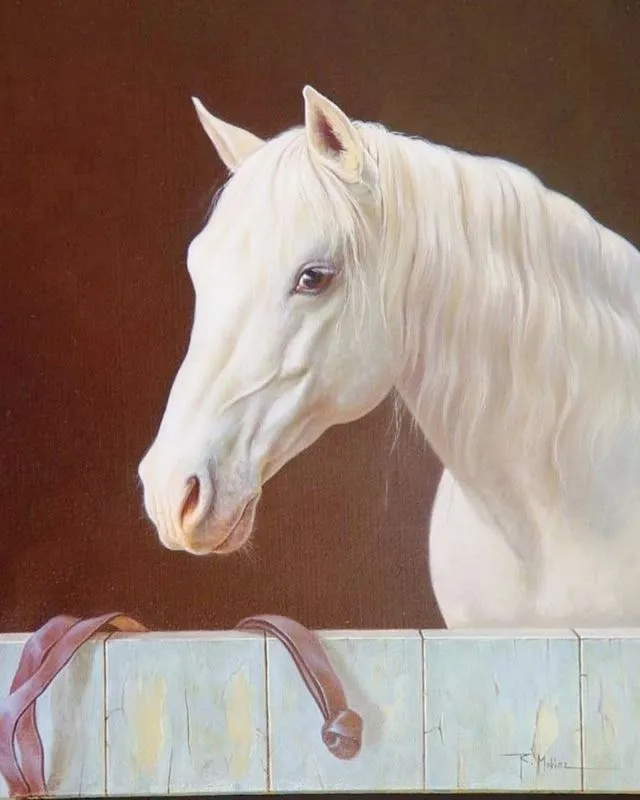 Caballos finos blancos - Imagui