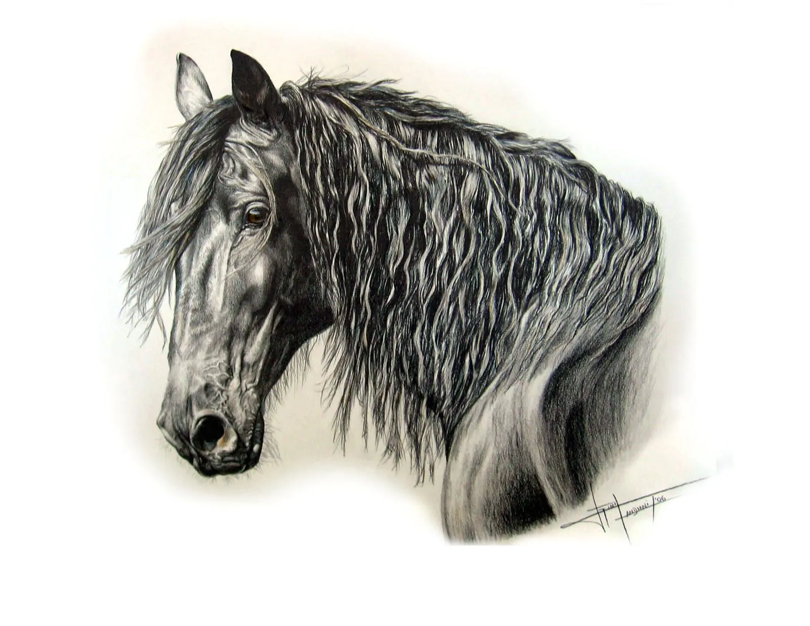 caballos a lapiz by ginacandiani on DeviantArt